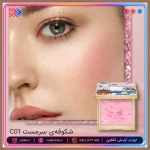 رژگونه و هایلایتر دوکاره کتکین رنگ C01 Drunk In Blossom - تصویر 12
