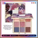 پالت سایه چشم کتکین مدل موراندی C08